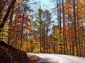 road-fall-trees-leaves-autumn-507162.jpg