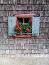 window-rural-flower-572211.jpg