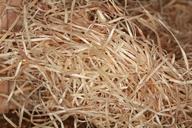 wood-wool-chips-wood-wood-chips-509587.jpg