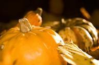 pumpkin-yellow-autumn-pumpkins-1040825.jpg