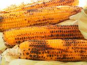 corn-corn-on-the-cob-grilled-corn-1198343.jpg