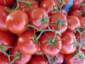 tomatoes-vegetables-red-tomato-68788.jpg