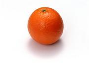 Citrus-isolated-on-white-background.jpg