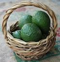 avocado-basket-health-food-organic-450382.jpg