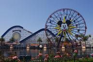 california-adventure-roller-coaster-886581.jpg