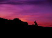 persons-biking-silhouettes-sunset-828612.jpg