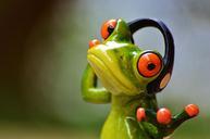 frogs-headphones-music-dance-pose-903221.jpg