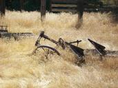 junk-dry-grass-summer-field-254631.jpg