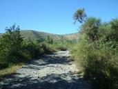 trail-stones-summer-shadow-heat-99448.jpg