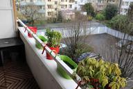 balcony-flowerpot-flower-parking-723365.jpg