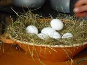 egg-chicken-eggs-white-eggs-351814.jpg