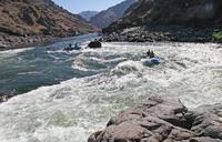 rafting-salmon-river-water-sport-922337.jpg