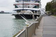 seagulls-riverside-river-water-974878.jpg