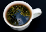 mug-cup-teacup-tea-reflection-sky-1431593.jpg