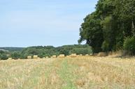 fields-straw-hay-bales-1456281.jpg