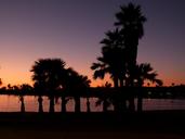 san-diego-sunset-palms-water-53173.jpg