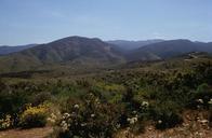 San Diego scenics fields and hills.jpg