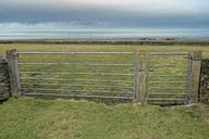 farm-gate-metal-gate-farmland-874575.jpg