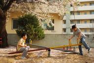 playground-children-cherry-blossom-441477.jpg