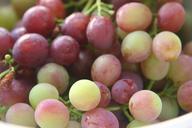 grapes-fruit-fruit-bowl-365363.jpg