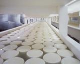 cheese-dairy-products-curing-rounds-721145.jpg