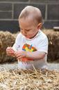 agriculture-baby-boy-child-cute-72077.jpg