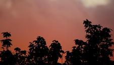 sunset-orange-pink-glowing-trees-234363.jpg