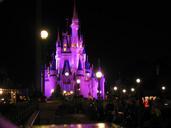 disneyland-magic-kingdom-night-226725.jpg