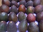 avocado-avogado-pile-up-fruit-1663181.jpg