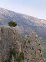 tree-mountains-landscape-nature-403731.jpg