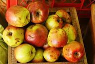 apples-fruits-food-healthy-925812.jpg