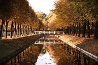 park-wooden-bridge-nature-water-657012.jpg