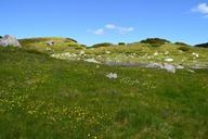 valley-green-grass-sky-spring-746694.jpg