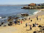 Beach - Monterey, CA - DSC06777.JPG