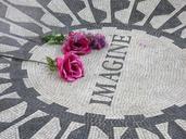 strawberry-fields-imagine-935028.jpg