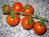 tomatoes-vegetables-food-red-227918.jpg