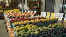 farmers-market-fruit-vegetable-988780.jpg