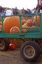 pumpkin-harvest-wagon-halloween-487981.jpg