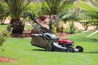 lawn-mower-lawn-grass-palm-trees-320799.jpg