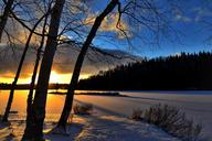 winter-landscape-trees-winter-1069596.jpg