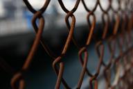 rust-catering-grid-wires-fence-1017562.jpg