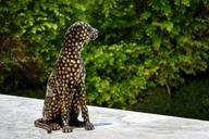 leopard-statue-figure-sculpture-1378014.jpg