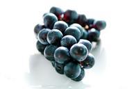 grapes-blue-cluster-bunch-juicy-253682.jpg