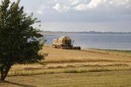 barley-field-harvest-fiord-nature-395022.jpg