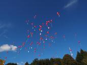 balloons-fly-wedding-693781.jpg