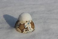 soccer-ball-snow-football-1240465.jpg