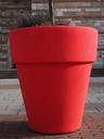 flowerpot-plus-size-red-1024836.jpg