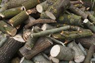 firewood-drome-tree-forest-pile-845961.jpg