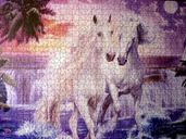 puzzle-horses-58837.jpg