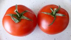 tomatoes-vegetables-red-food-402385.jpg